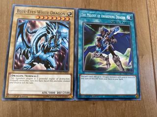 Blue-eyes White Dragon(Snubbull Eyes)