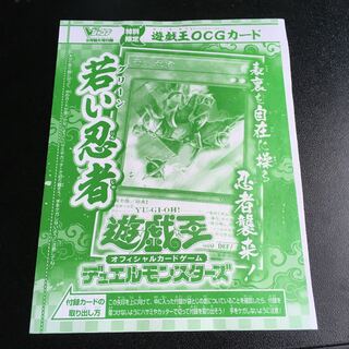 Young Ninja Green Ninja