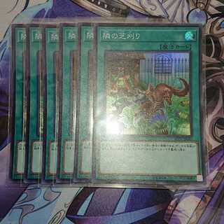 隣の芝刈り スーパーレア ６枚