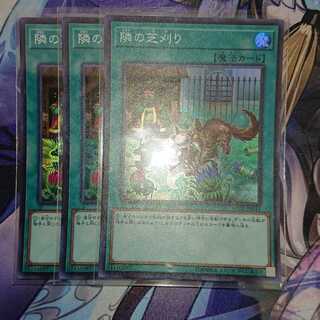 隣の芝刈り スーパーレア ３枚