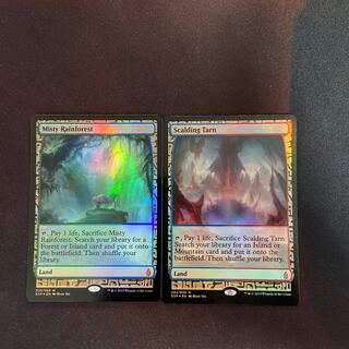 Misty Rainforest Scalding Tarn Set MSP