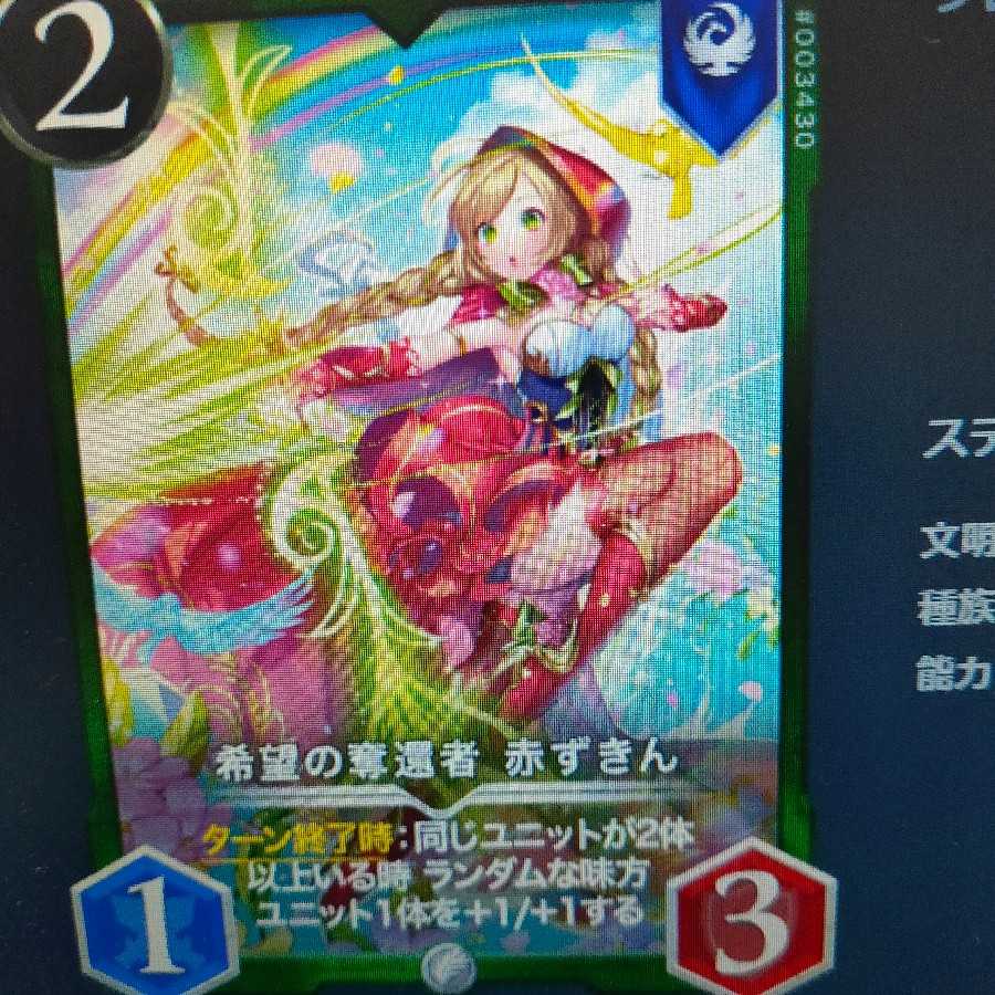 2枚組希望の奪還者赤ずきん（バラ可）