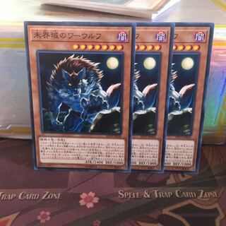 アンコウ 未界域のワーウルフ 3枚