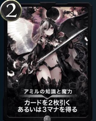 アミルの知識と魔力