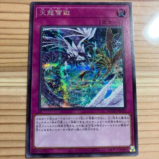 Ice Dragon's Prison Secret Rare JP079