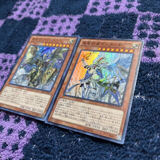 Chimayan Shinryu Parts 1枚