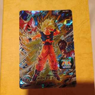 ゼノSHOP様専用 1枚