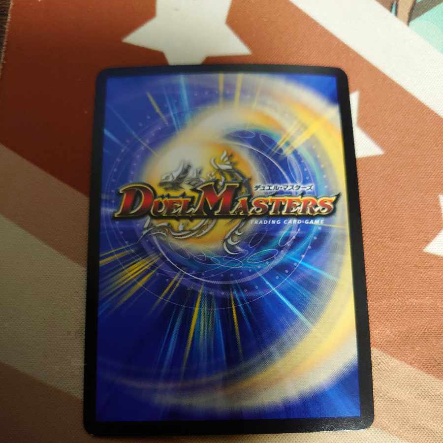 最安値!龍風混成 ザーディクリカ