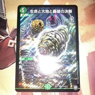 Lowest price! Life Life, Earth and Roaring Decision SR S12/S12