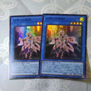 [Set of 2] White Sacred Wreckage Super BACH-JP035