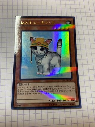 Rescue Cat Parallel Ultralea JP061