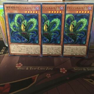 アンコウ 捕食植物ドロソフィルム・ヒドラ 3枚