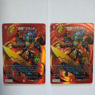 Punishment Anger" brand MAS, set of 2