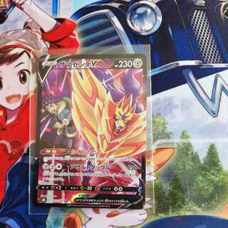 ZamazentaV and Eternatus CSR for ryota