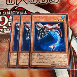 Buzzsaw Shark Rare 3 pieces Special Price