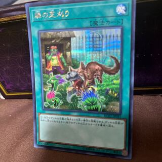 That Grass Looks Greener Secret Rare