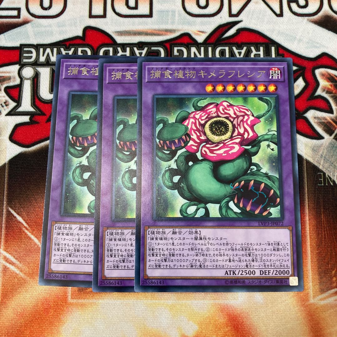 Predaplant Chimerafflesia Rare, 3 copies, special price