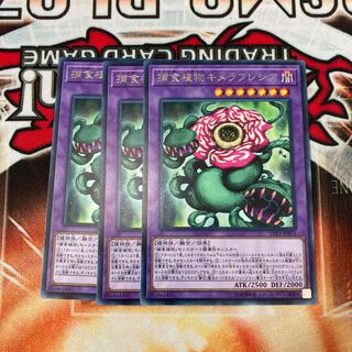 Predaplant Chimerafflesia Rare, 3 copies, special price