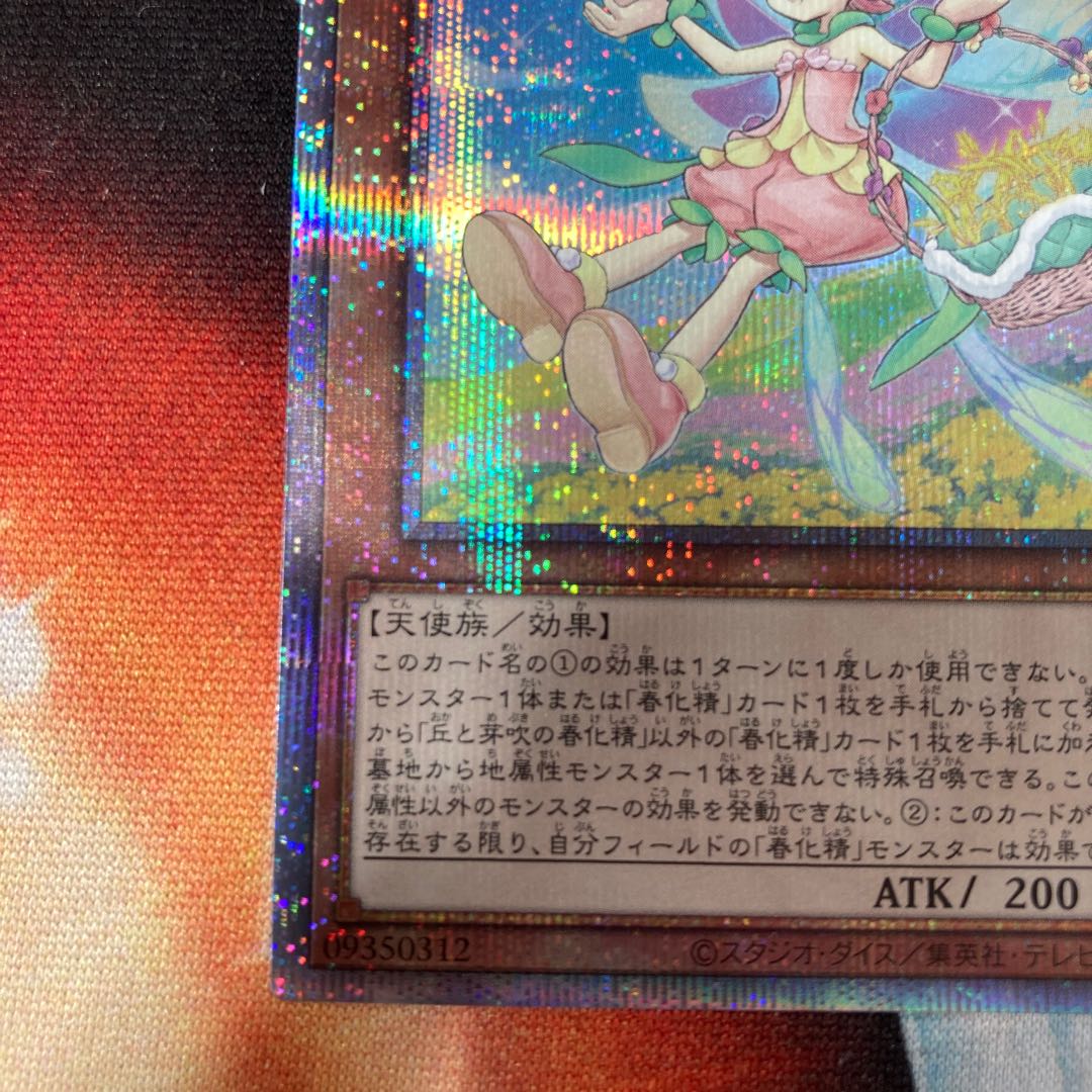 丘と芽吹の春化精 プリズマティックシークレットレア JP016 1枚