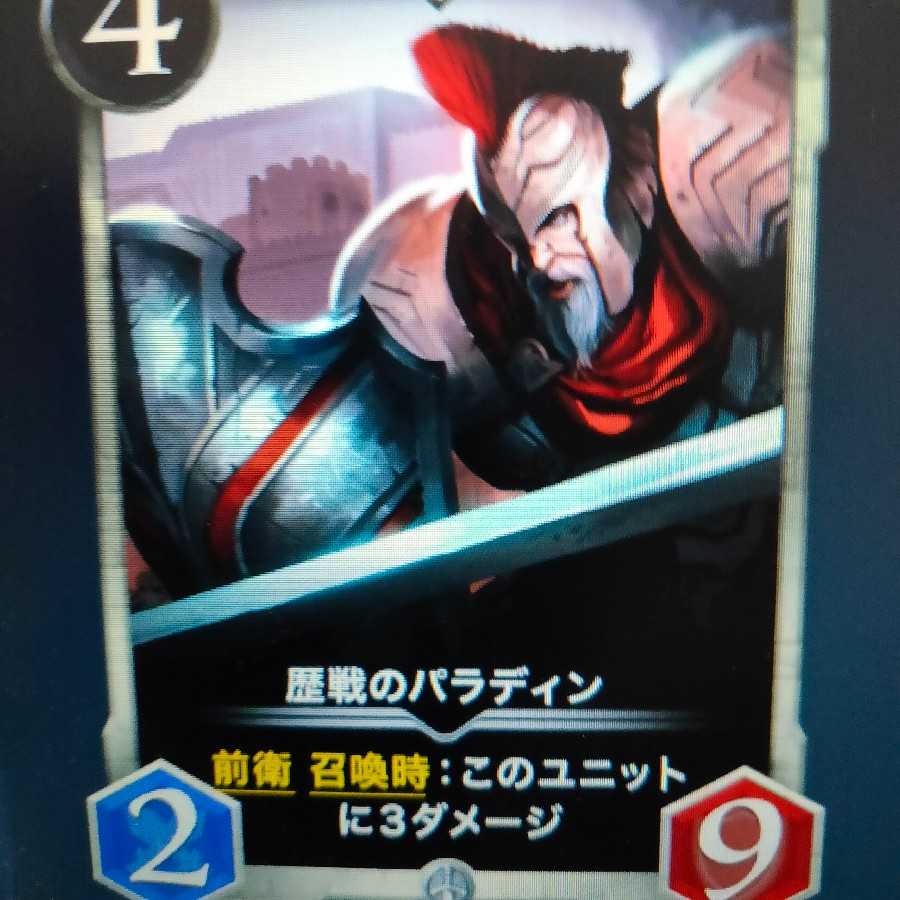 2枚組 歴戦のパラディン（バラ可）
