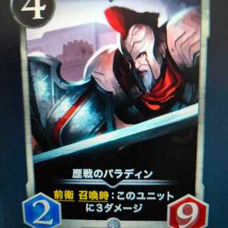 2枚組 歴戦のパラディン（バラ可）