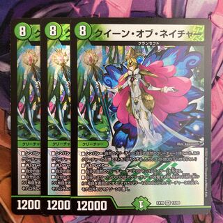 クイーン・オブ・ネイチャー　3枚