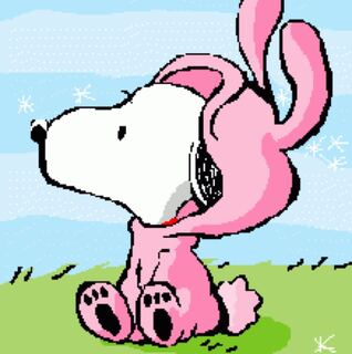 すぬーぴーやん