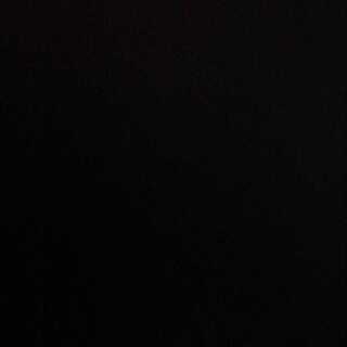 レッドゾーンX募集