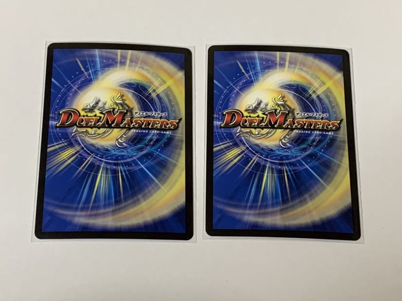 真実の聖霊王レオ・ザ・スター　2枚