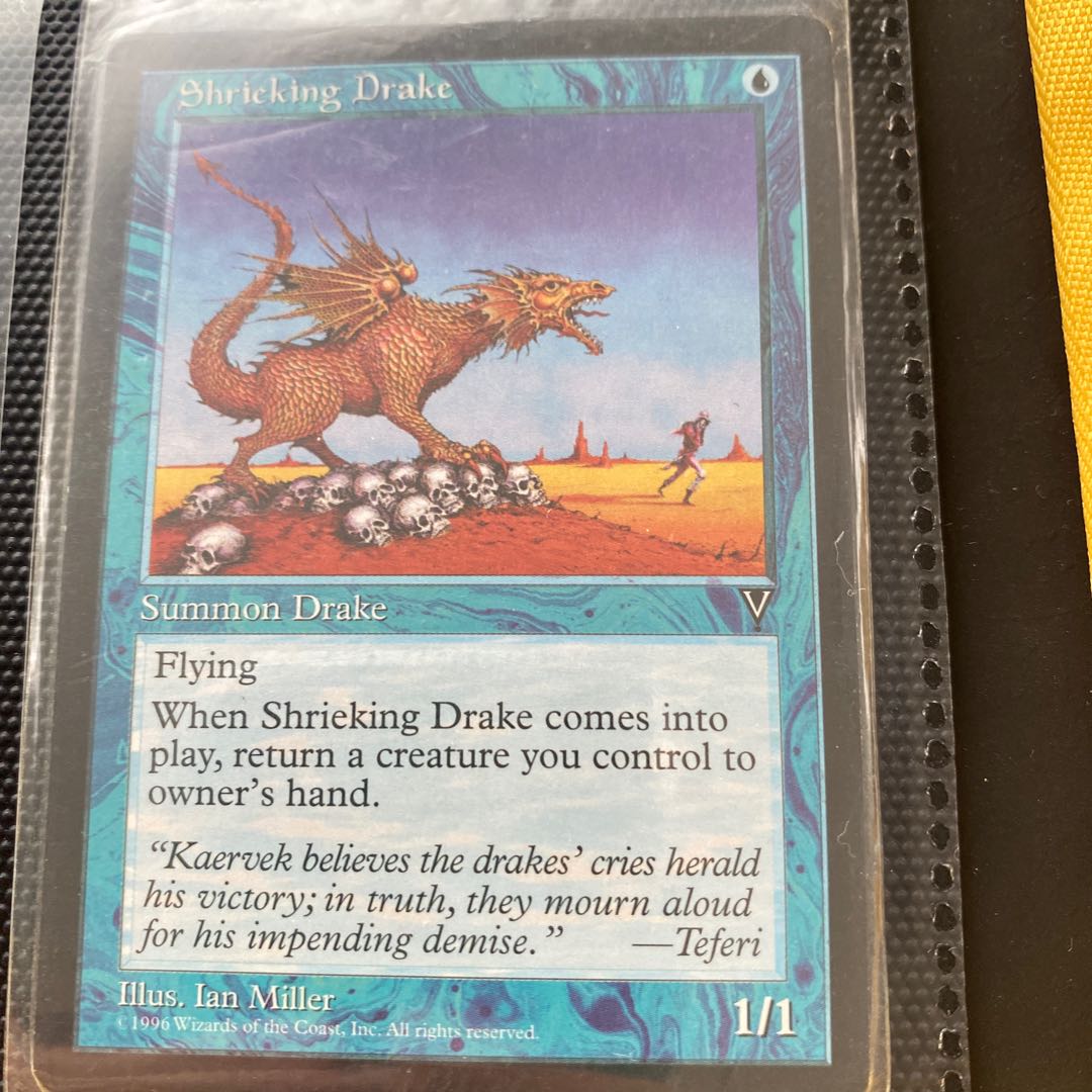 MTG Shrieking Drake English