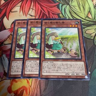 No.515 Seedlings and Kasumi no vernalization spirit