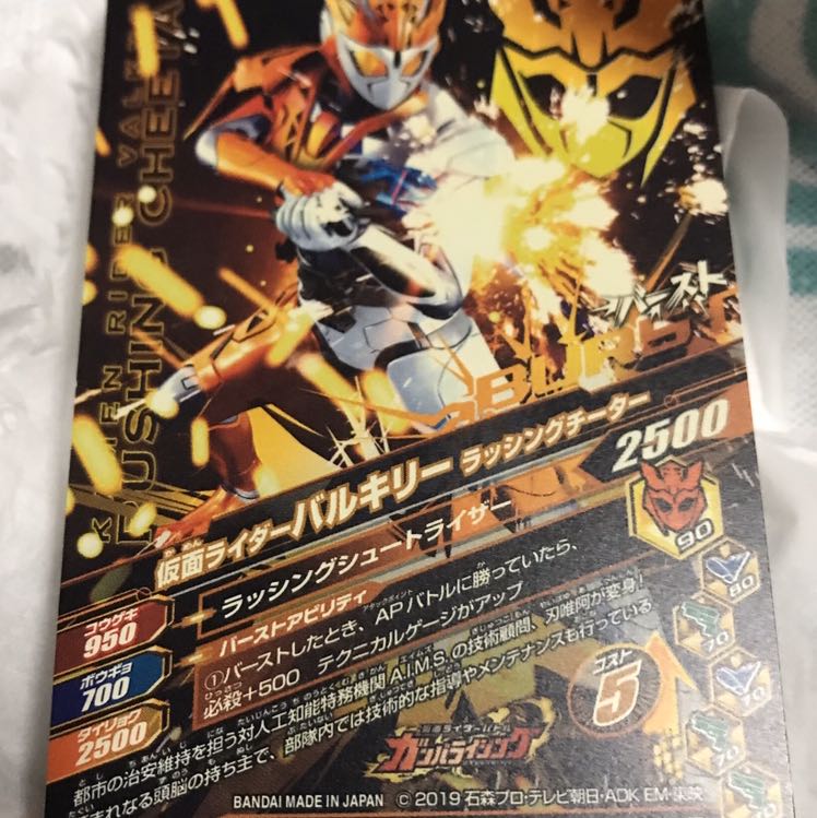 仮面ライダー　【バルキリー】