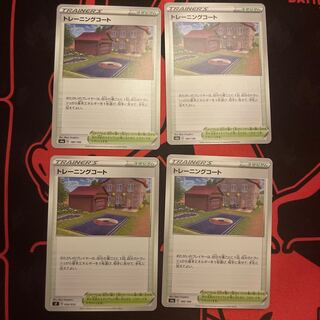 Training Court 180/190