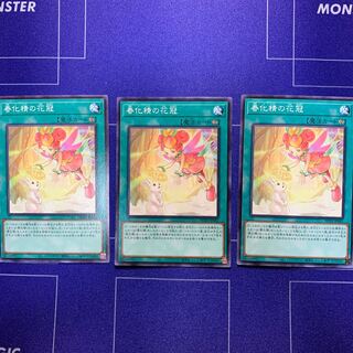 Shunka Sei no Hana Kanna (flower crown) Normal JP061, set of 3 1枚