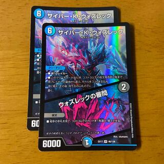 Cyber K. Wozrek｜The Wozrek Inquiry