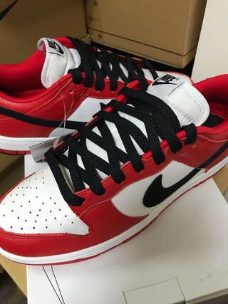 NIKE dunk by you  28cm