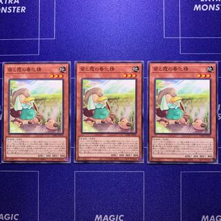 苗と霞の春化精　３枚セット