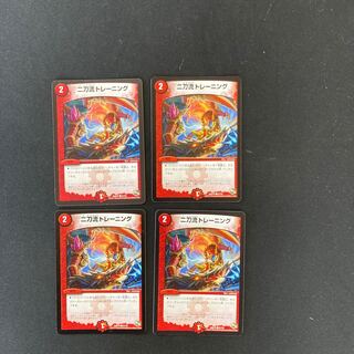 DM Two-fold Training Common, set of 4 (2)