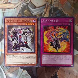 Ninja Set (Ninja Grandmaster Hanzo, Ninjitsu Art of Duplication)