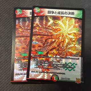 Fighting Conflict and Growth Decisions 2 copies