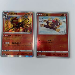 カエンジシ R 016/067 シシコ