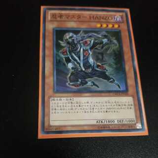 Ninja Grandmaster Hanzo