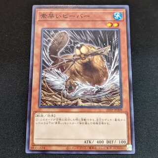 Nimble Beaver 3-piece set [22TP-JP209].