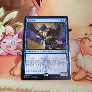 Ledger Ripper Rare New Capena