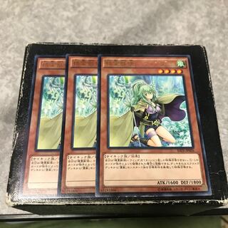 Spiritual Beast Tamer Winda 3 rare