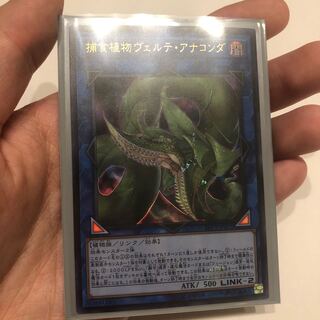 捕食植物ヴェルテアナコンダ　ウルトラ①