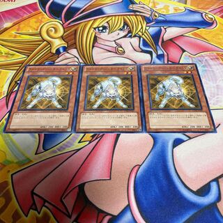 ライトロード・ハンター ライコウ ノーマル JP007 1枚