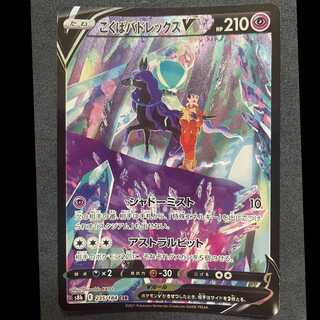 Kokuba Budrex V CSR [First Exhibit Commemorative Event].