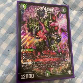 Domanmo Ryuju SR S4/S4