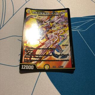 真実の聖霊王レオ・ザ・スター